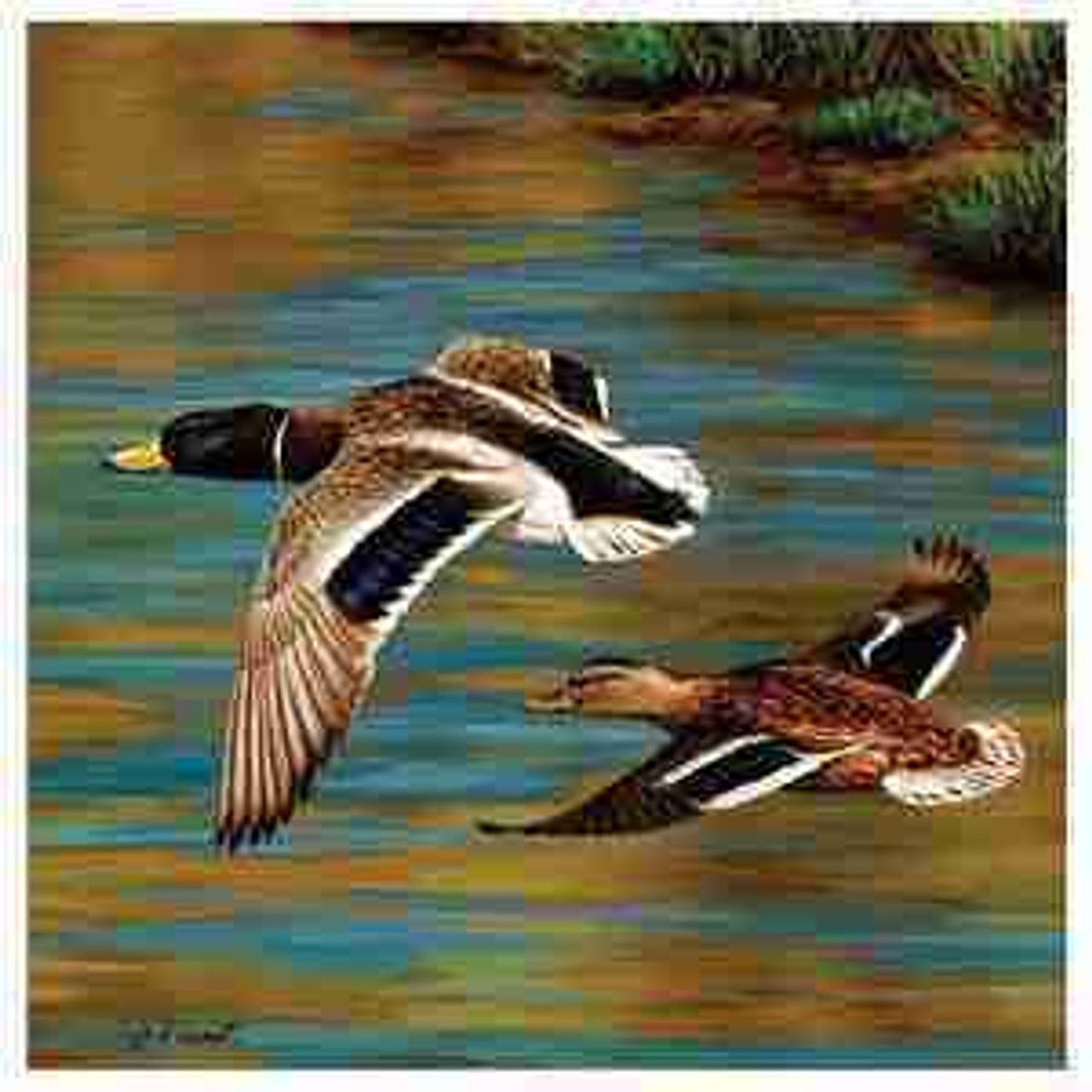 Birds Coasters Birds Coasters